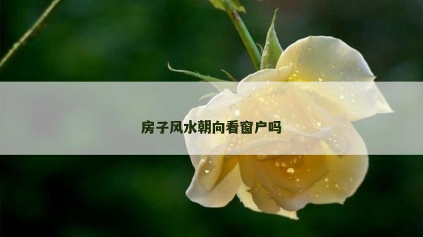 房子風水朝向看窗戶嗎