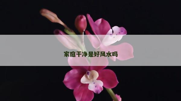 家庭干凈是好風水嗎