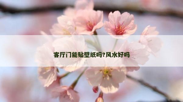 客廳門(mén)能貼壁紙嗎?風(fēng)水好嗎