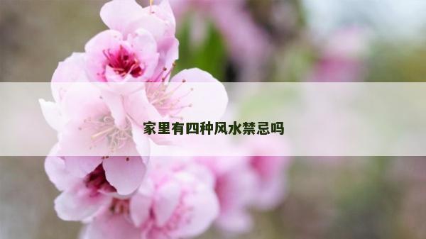 家里有四種風水禁忌嗎