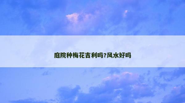 庭院種梅花吉利嗎?風(fēng)水好嗎