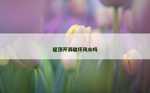 屋頂開洞破壞風(fēng)水嗎 屋頂開洞破壞風(fēng)水嗎