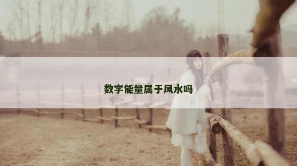 數字能量屬于風水嗎