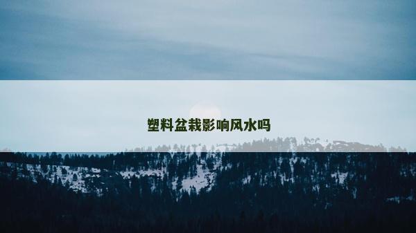 塑料盆栽影響風水嗎