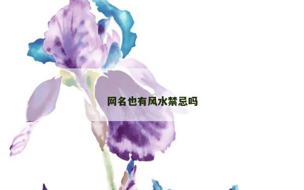 網名也有風水禁忌嗎