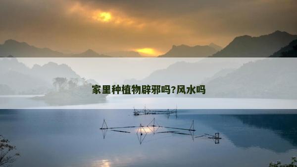 家里種植物辟邪嗎?風水嗎