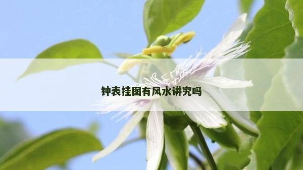 鐘表掛圖有風水講究嗎