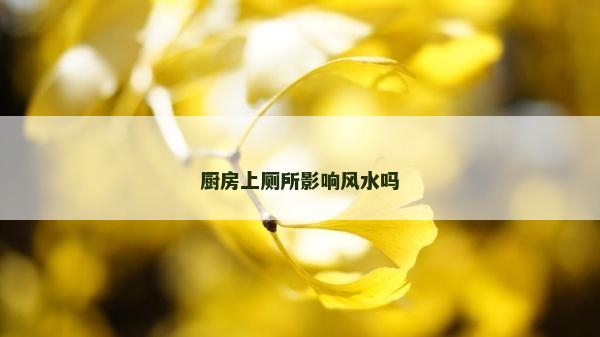 廚房上廁所影響風水嗎