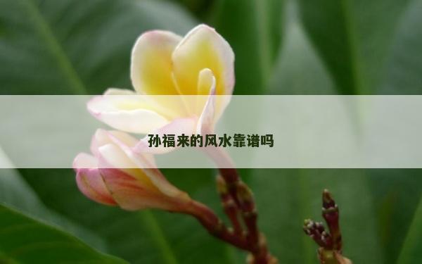 孫福來的風水靠譜嗎