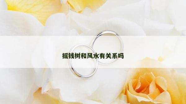 搖錢樹和風(fēng)水有關(guān)系嗎