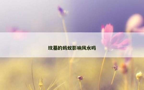 墳墓的螞蟻影響風水嗎