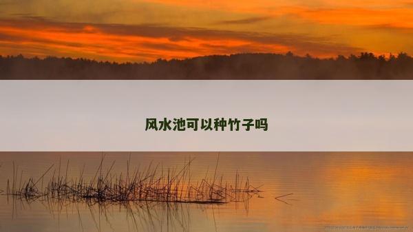 風水池可以種竹子嗎