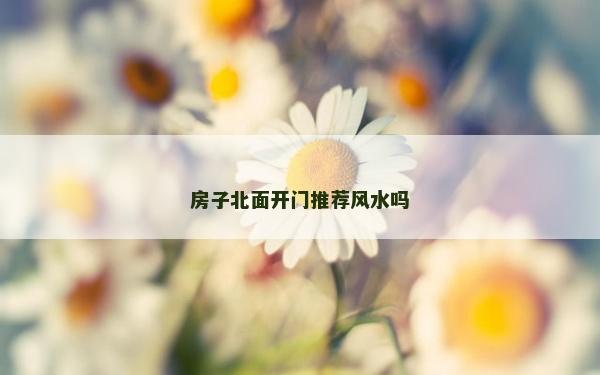 房子北面開門推薦風(fēng)水嗎