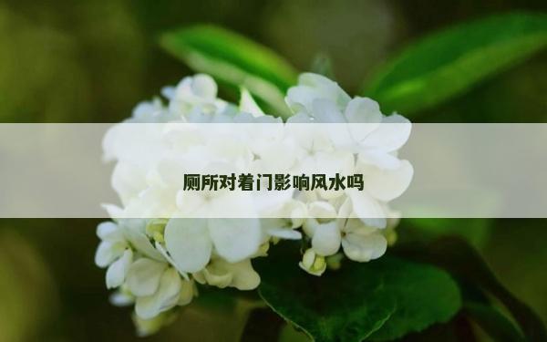 廁所對著門影響風(fēng)水嗎