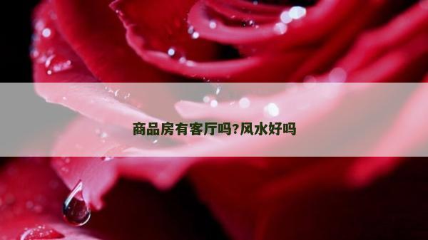 商品房有客廳嗎?風水好嗎 商品房有客廳嗎?風水好嗎