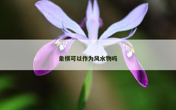 象棋可以作為風水物嗎