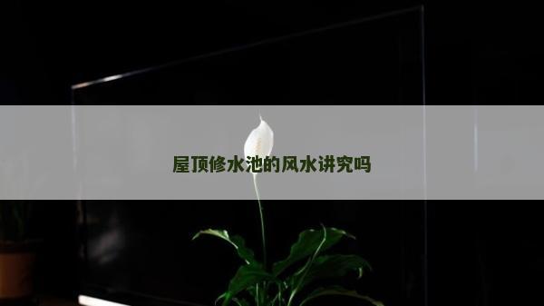 屋頂修水池的風水講究嗎 屋頂修水池的風水講究嗎