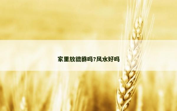 家里放貔貅嗎?風水好嗎
