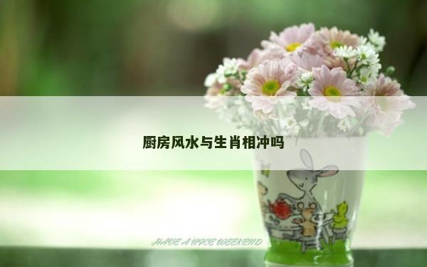 廚房風(fēng)水與生肖相沖嗎