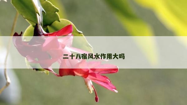 二十八宿風水作用大嗎 二十八宿風水作用大嗎