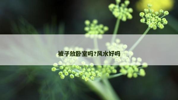 被子放臥室嗎?風水好嗎