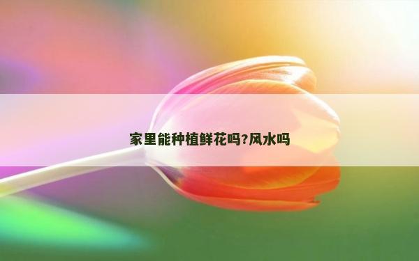 家里能種植鮮花嗎?風水嗎