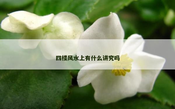 四樓風水上有什么講究嗎