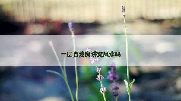 一層自建房講究風水嗎