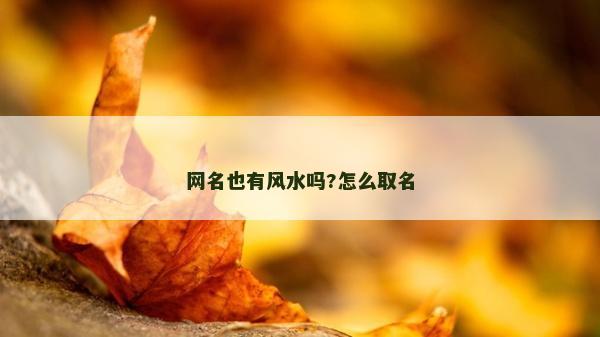 網(wǎng)名也有風水嗎?怎么取名