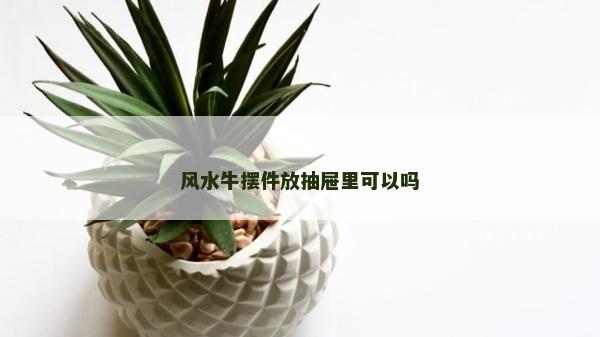風水牛擺件放抽屜里可以嗎