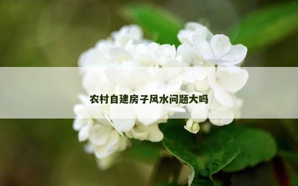 農村自建房子風水問題大嗎