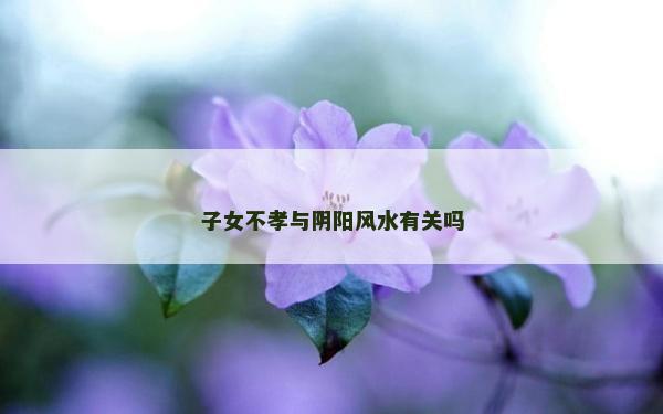 子女不孝與陰陽風(fēng)水有關(guān)嗎