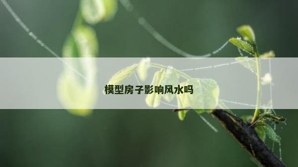 模型房子影響風水嗎