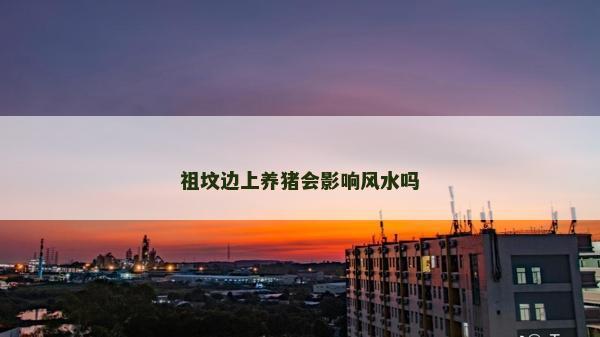 祖墳邊上養豬會影響風水嗎