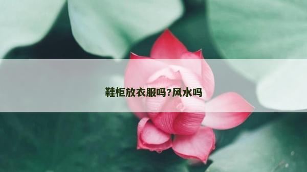 鞋柜放衣服嗎?風水嗎