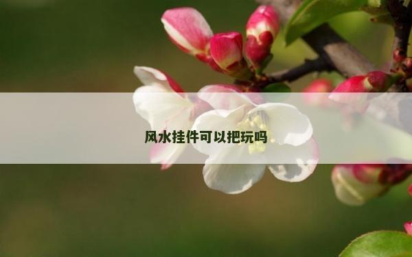 風水掛件可以把玩嗎