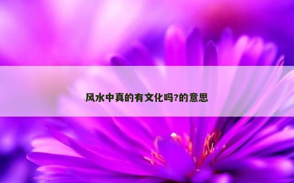 風水中真的有文化嗎?的意思