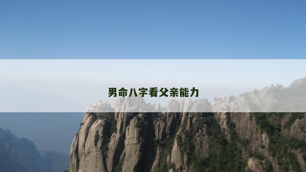 男命八字看父親能力