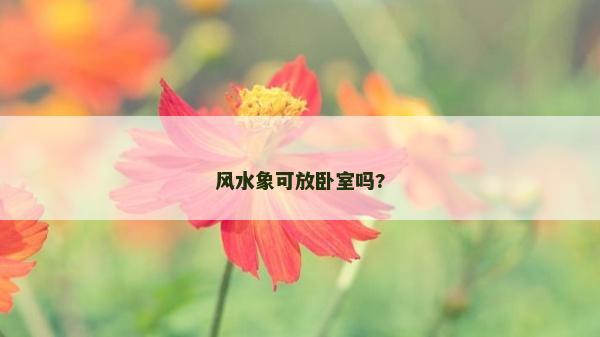 風(fēng)水象可放臥室嗎?