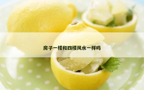 房子一樓和四樓風水一樣嗎