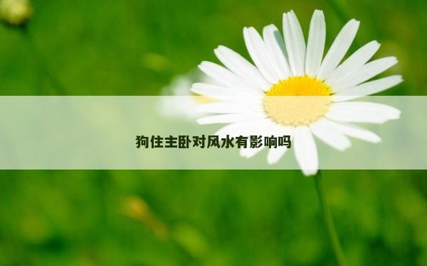 狗住主臥對風(fēng)水有影響嗎