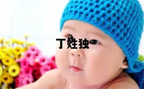 丁姓獨特優(yōu)美的女寶寶名字