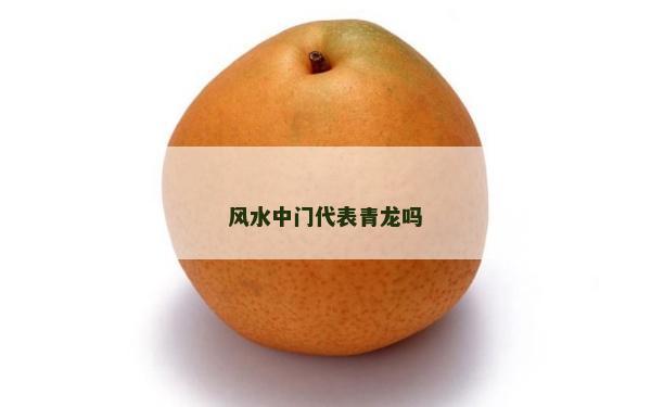 風水中門代表青龍嗎 風水中門代表青龍嗎