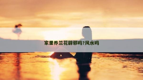 家里養蘭花辟邪嗎?風水嗎