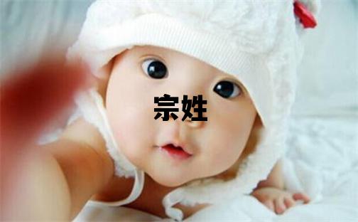 宗姓取名有創(chuàng)意的女寶寶名字