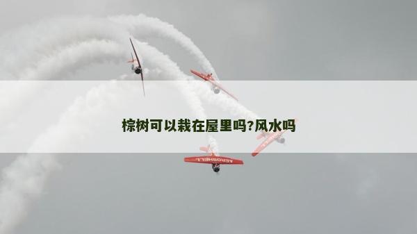 棕樹可以栽在屋里嗎?風水嗎