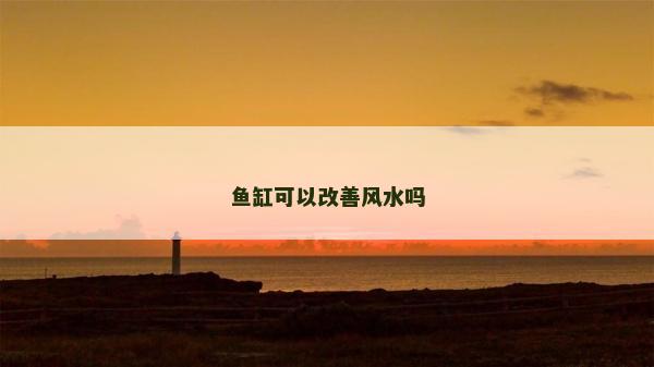 魚缸可以改善風水嗎
