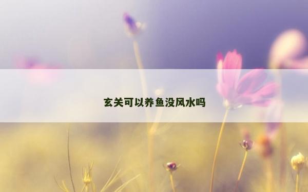 玄關可以養魚沒風水嗎 玄關可以養魚沒風水嗎