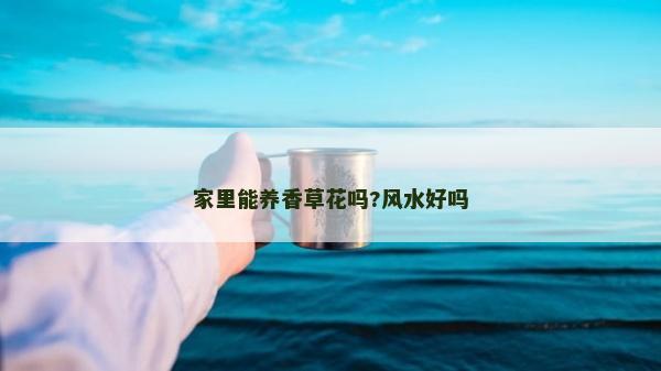 家里能養香草花嗎?風水好嗎