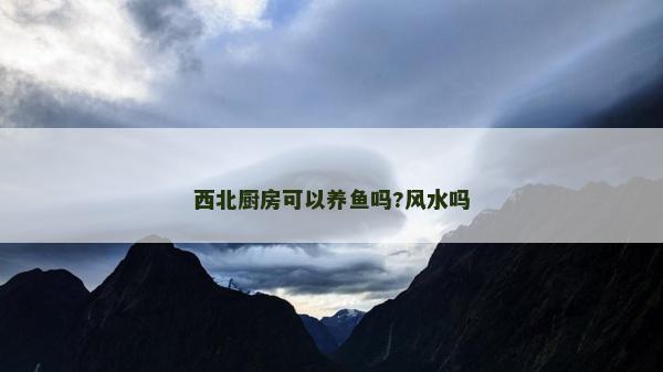 西北廚房可以養(yǎng)魚嗎?風水嗎